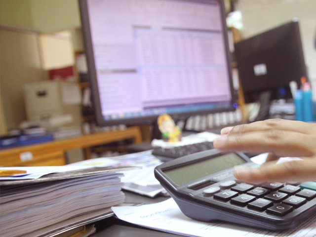 stray dog lying down